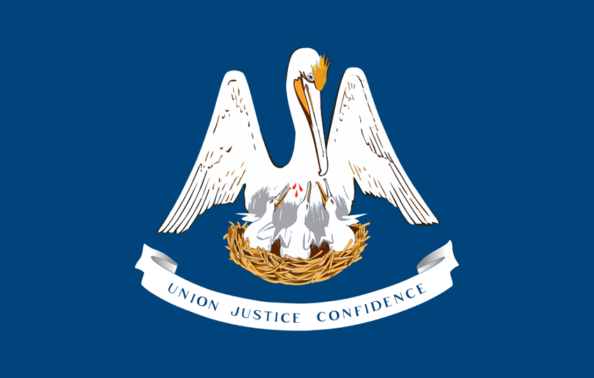 State flag of Louisiana in the US