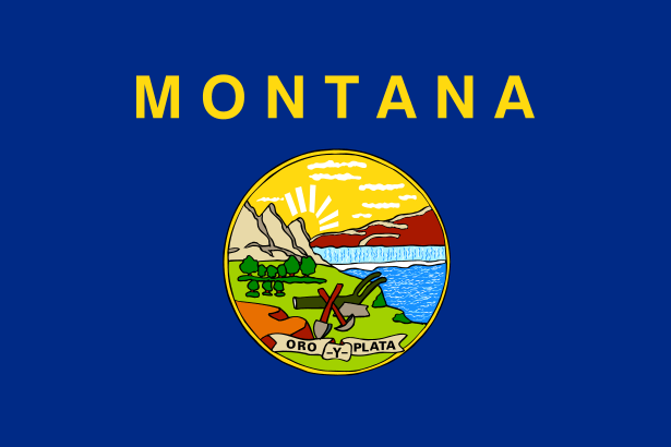 State flag of Montana in the US