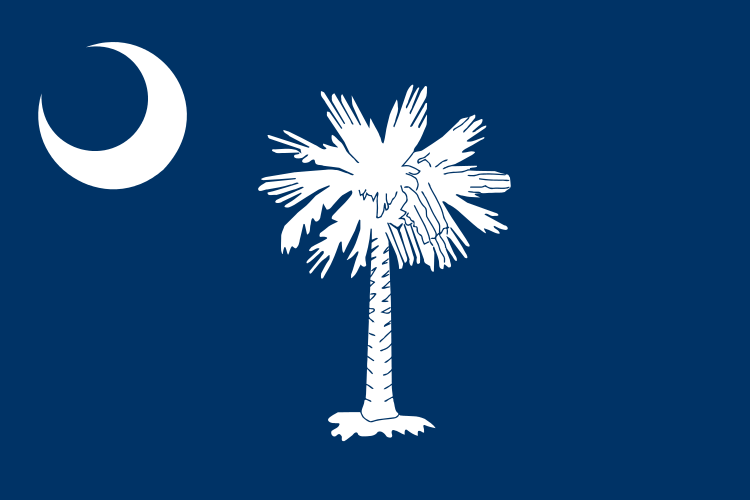 State flag of South Carolina in the US